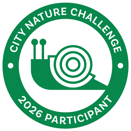 City Nature Challenge 2026 Participant